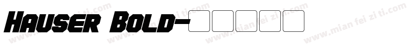 Hauser Bold字体转换